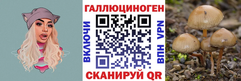 Галлюциногенные грибы ЛСД  Березники 