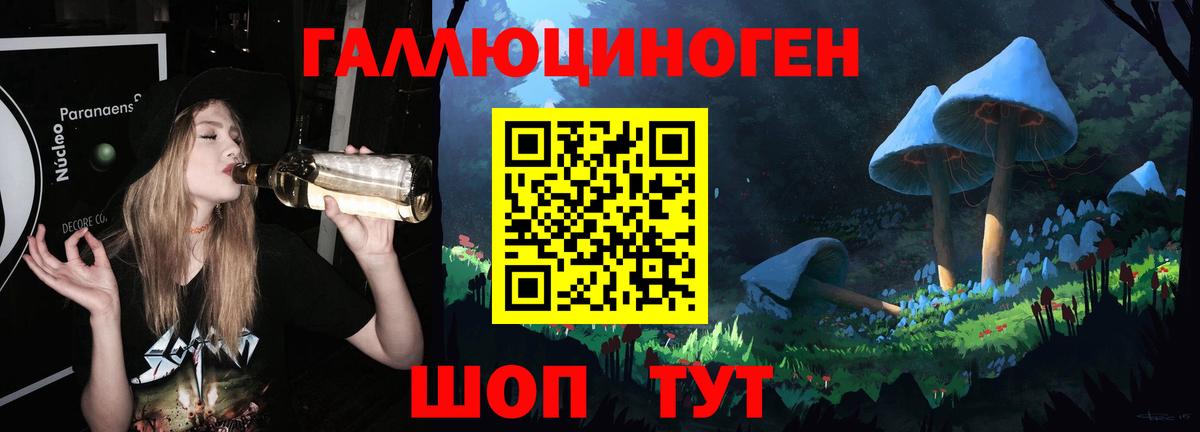 Псилоцибиновые грибы Psilocybe Березники